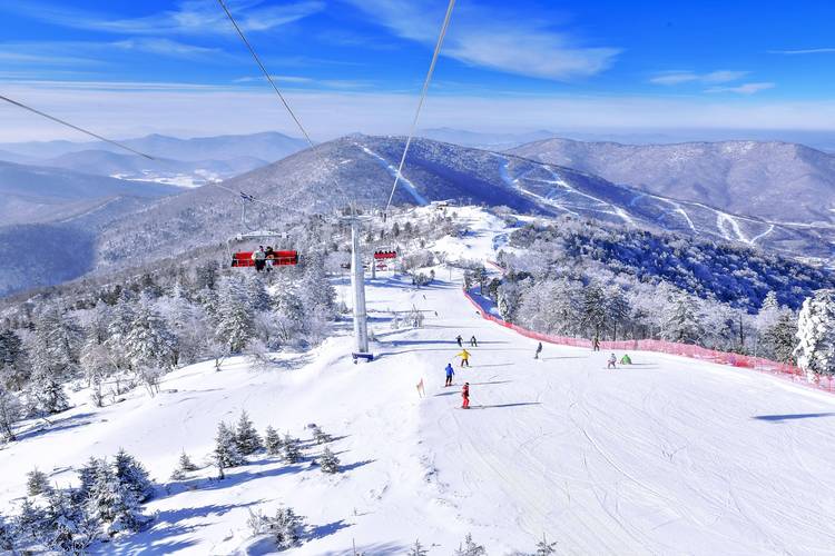 智慧教学新范式：小泥人赋能江苏妙木山滑雪场数字化升级