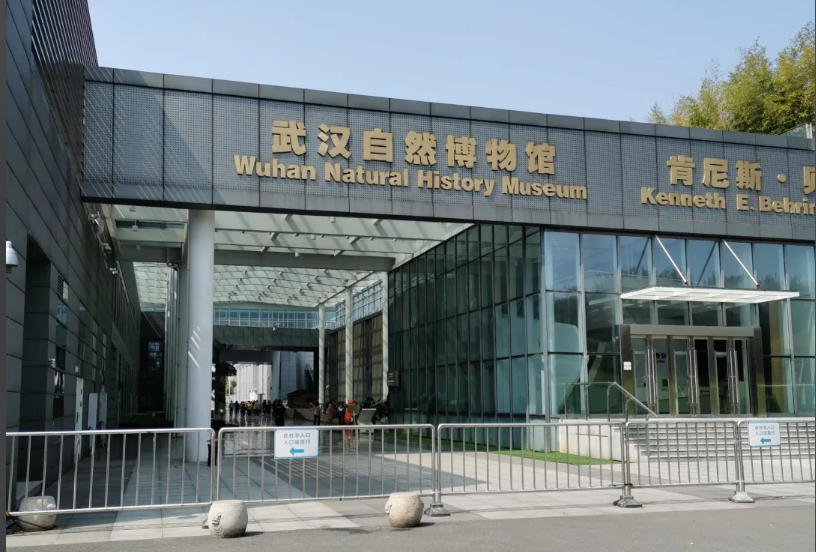 武汉自然博物馆票务系统：智慧赋能，探秘自然之旅